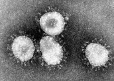 Northeast states Nagaland and Meghalaya sound Coronavirus alert