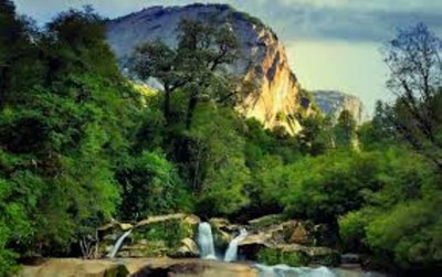 Chile issues red alert over forest fire