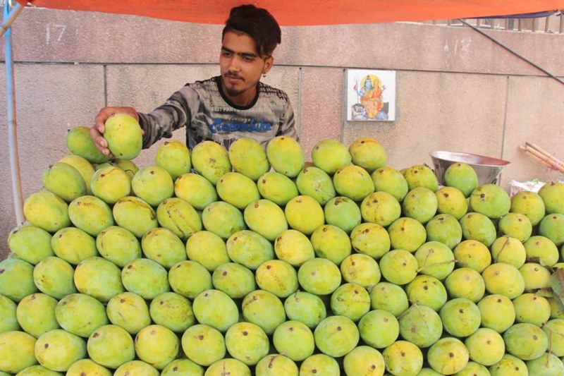 Fruit vendor selling mangoes in New Delhi