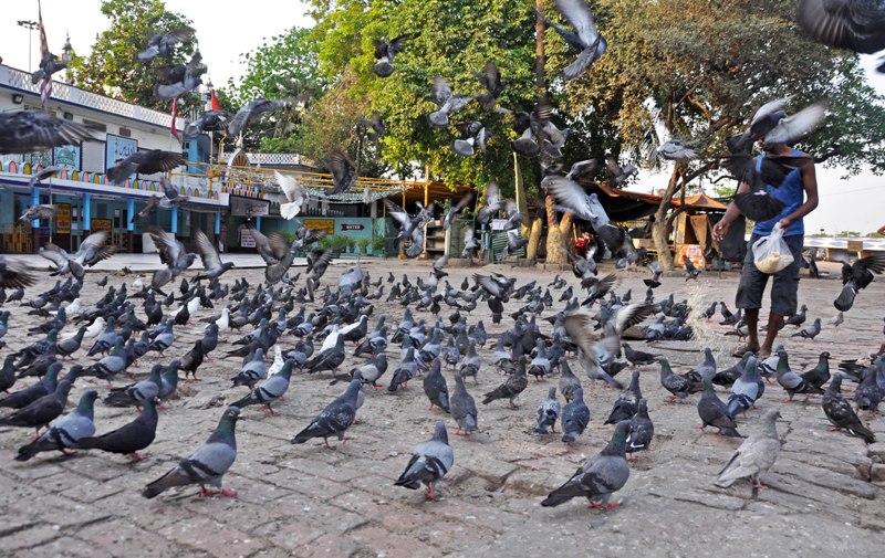 Kolkata in Lockdown: Deserted streets of downtown area and people in markets