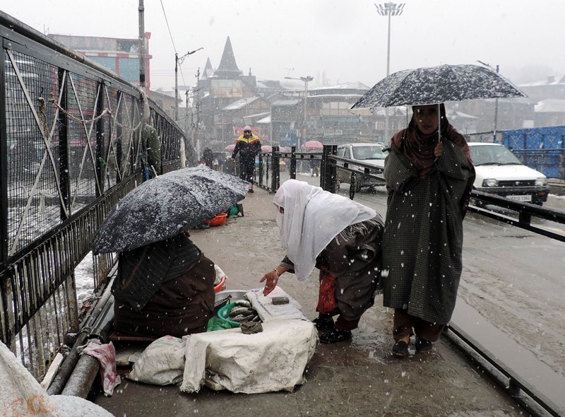 Fresh snowfall in Srinagar