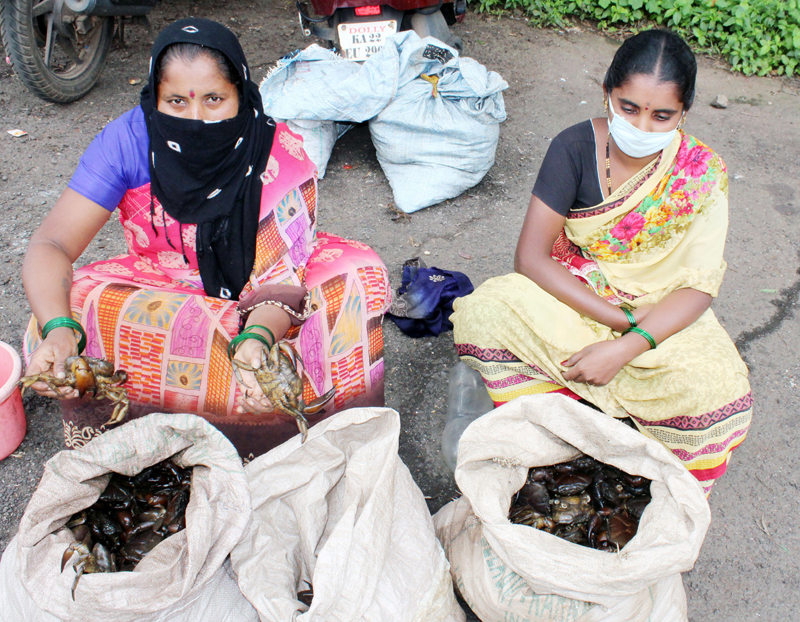 Belagavi: Villagers waiting to sell Black Crabs