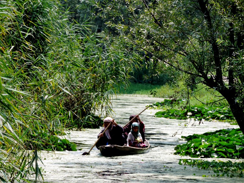 Dal Lake in Srinagar