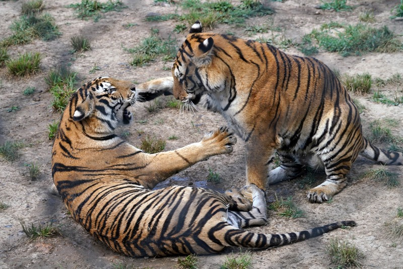 World in Photos : July 27, 2020