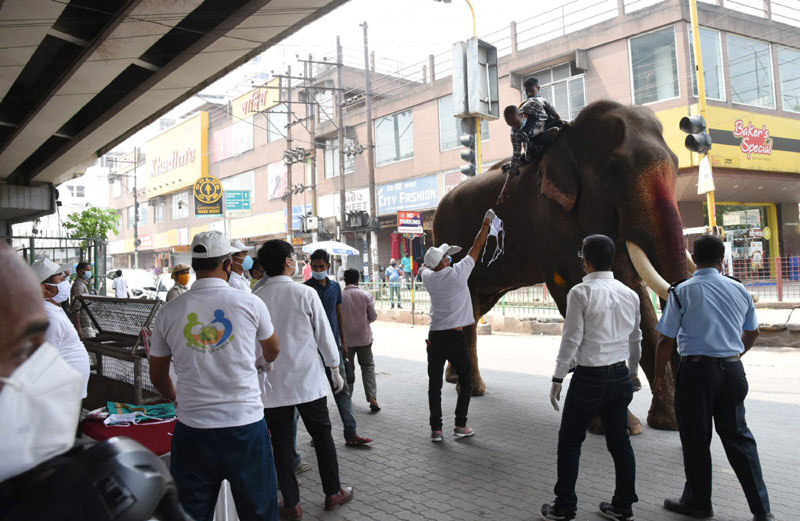 Members of NGO distributing masks in Guwahati