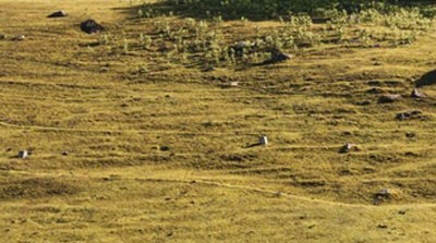 Jammu and Kashmir: Government hosts soil health training program for Pulwama farmers