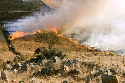 Dzukou valley wildfire: One NDRF personnel died during ongoing firefighting operations
