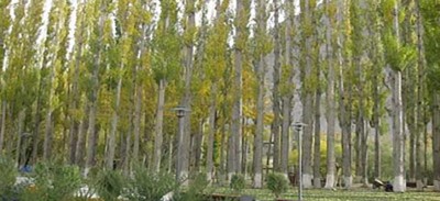 Jammu and Kashmir govt constitutes Poplar Commission