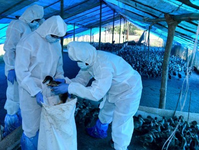 Indian Health Ministry deploys multi-disciplinary teams to Avian Influenza affected districts in Kerala and Haryana