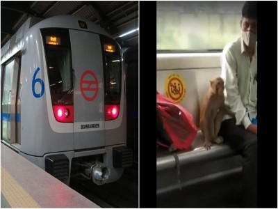 Monkey enjoys joyride in Delhi Blue Line metro