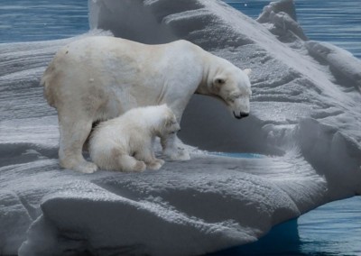 Climate change is widespread, rapid, and intensifying, says IPCC