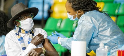 COVID-19 cases and deaths continue to decline: WHO