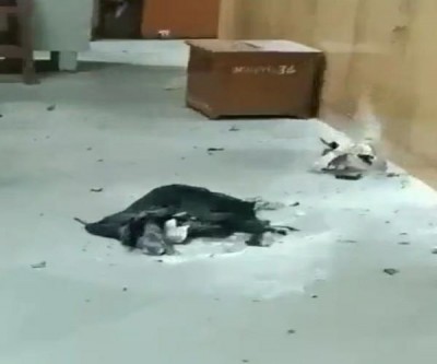 Low intensity blast at Rohini Court; 1 injured