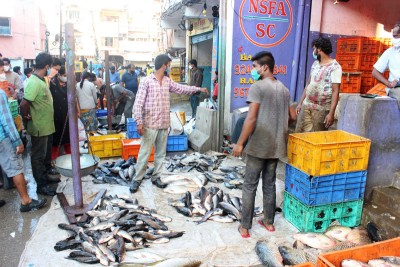 Secunderabad: People buying fish on eve of Mrigasira Karthi Festival