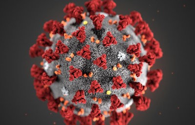 COVID-19 origins report inconclusive: We must ‘leave no stone unturned’: WHO chief