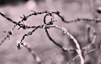 Myanmar releases over 23,000 prisoners, including foreigners: Reports