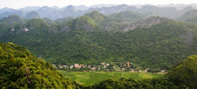 Restoration call for area ‘the size of China’ to protect falling biodiversity and food insecurity