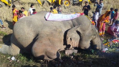 Assam: Two wild elephants killed after being hit by train at Khetri