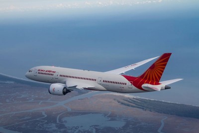 Reports claiming Tata Sons won Air India bid incorrect: Govt