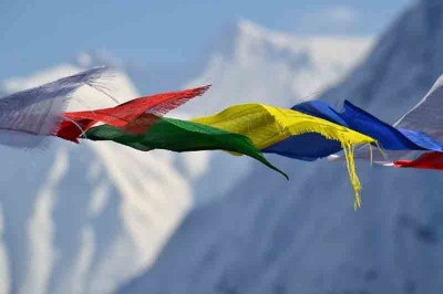 Political Volatility