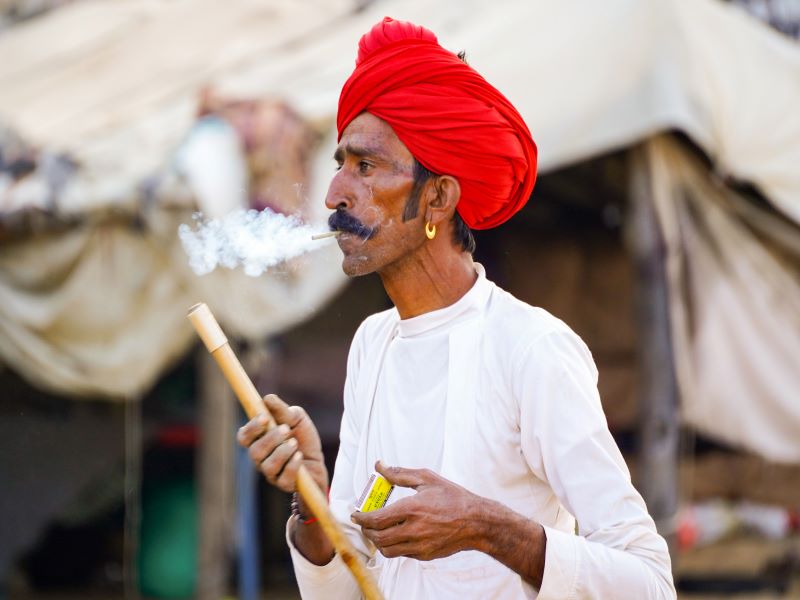 Camel traders cluster in annual Pushkar fair in Rajasthan