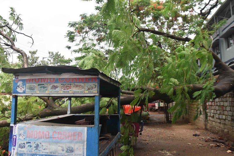 Cyclone Yaas hits Odisha, West Bengal