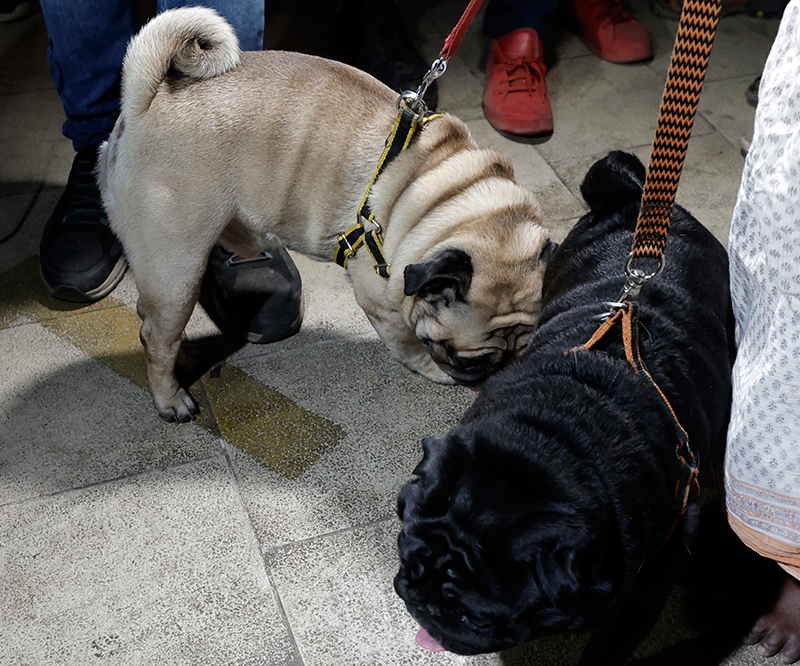 Kolkata bids final goodbye to actress Aindrila Sharma