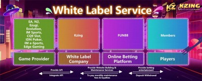 What is an iGaming White Label Company?