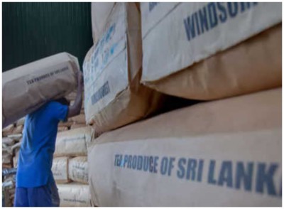 Sri Lanka: Tea industry faces multiple setbacks, may shut down