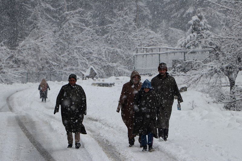 Kashmir: Snowfall in Kulgam
