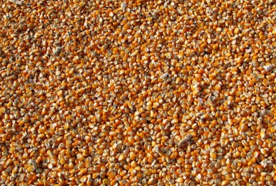 Seen certification system: Jammu and Kashmir administration launches Sathi