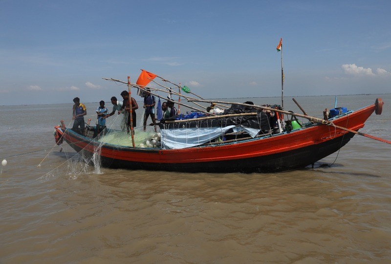 In Images: On the trail of hilsa in the Bay of Bengal before the prized catch transforms into a Bengali delicacy