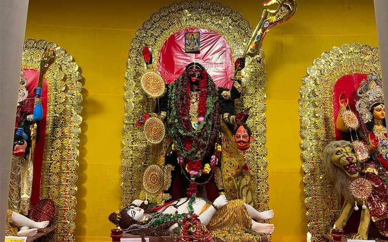 In Images: Pancha Kali worshipped in a pandal in Jadavpur, Kolkata