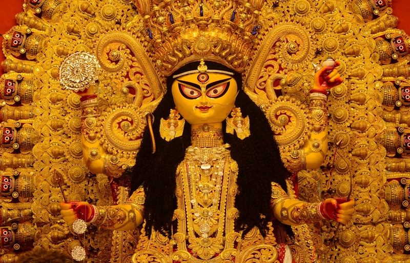 In Images: Kolkata Celebrates Jagadhatri Puja