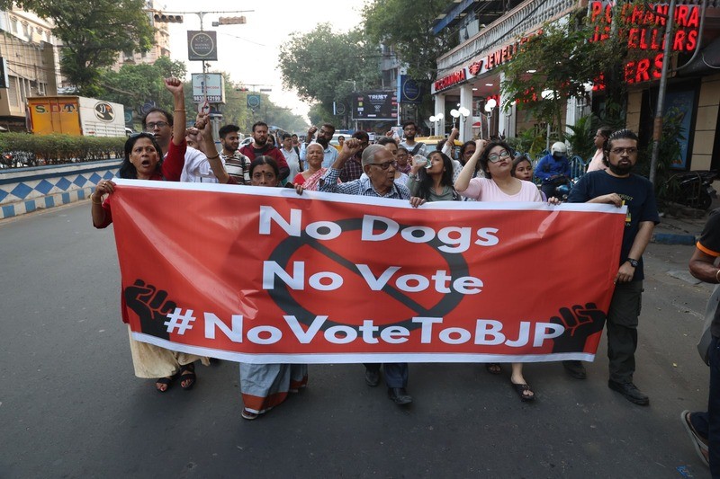 In Images: Animal-lovers march in Kolkata after top court’s stray-dog directive