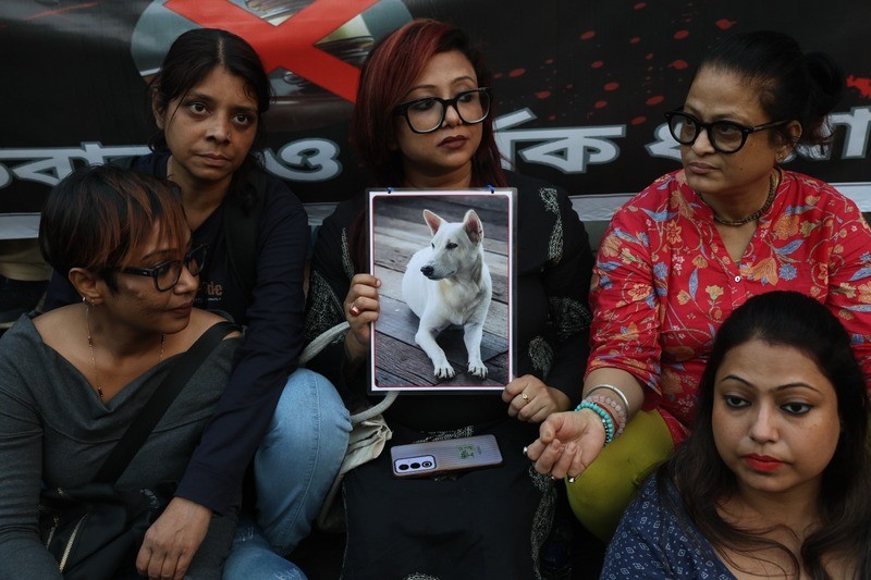 In Images: Animal-lovers march in Kolkata after top court’s stray-dog directive