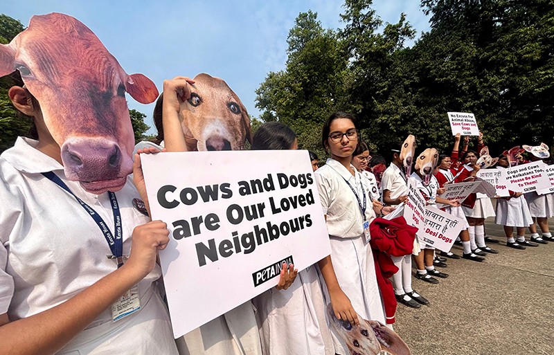In Images: PETA and students rally against Supreme Court’s animal rounding order in Kolkata