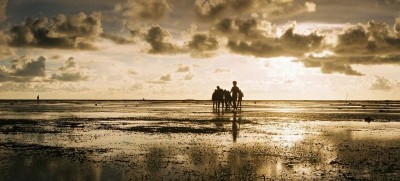 Weak La Niña weather event is likely to be brief, says World Meteorological Organization