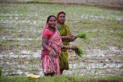 Women form 64.4% of India's agri workforce yet 6%-10% work in top agri companies: Report