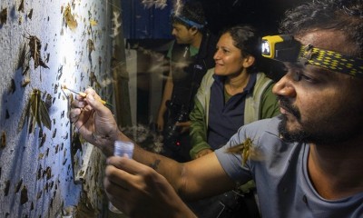 Arunachal Pradesh: Retracing a century-old biodiversity in Siang Valley