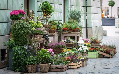 Flower Shop and Delivery: How to Surprise Someone You Love