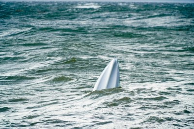 China: Four tourist boats capsize in Guizhou, 10 die