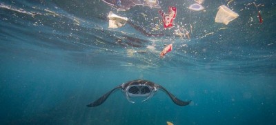 Antonio Guterres calls for an end to ocean ‘plunder’ as UN summit opens in France