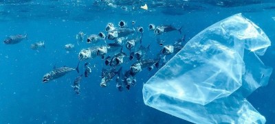 Plastic pollution talks get underway in Geneva