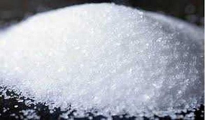 Magadh Sugar Q1FY26 profit plunges on lower income, eyes ethanol-led growth in 2025-26