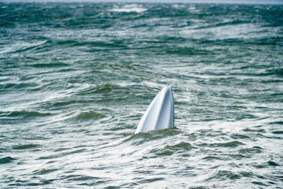 Mozambique boat mishap: Three Indian nationals dead