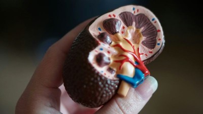 Health time bomb: Study says India recorded 138 million kidney disease cases in 2023, 2nd worst globally  
