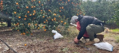 Landmines kill more people than ever in 4 years — Why global agreements are failing?