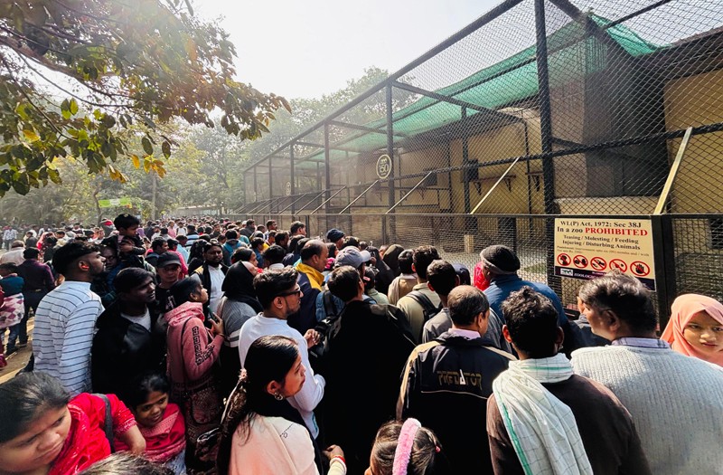 Kolkata's Alipore Zoo and Victoria Memorial experience massive, record-breaking crowds on New Year's Day