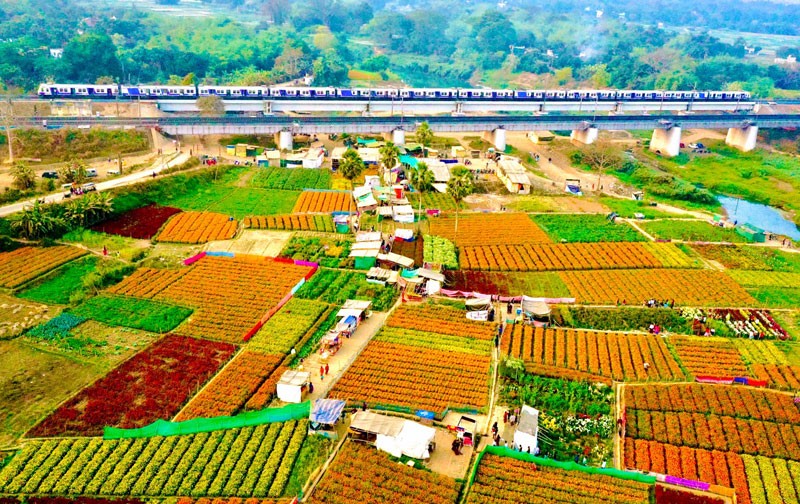 Khirai Flower Valley Colours West Bengal’s Countryside